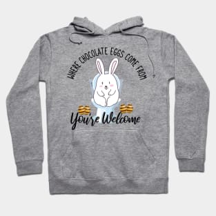 Where Chocolate Eggs Come From Easter Potty Poop Hoodie